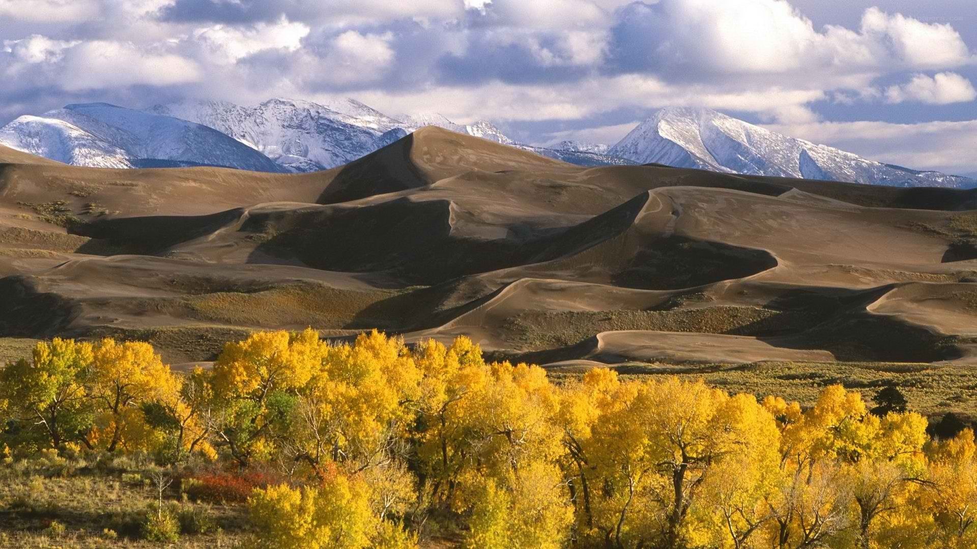 sand dunes with autumn trees