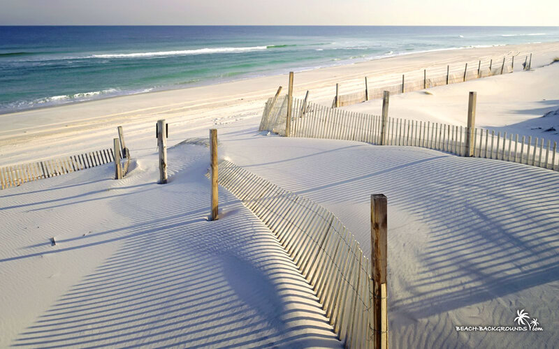 Sand Dunes with Beach Fence
