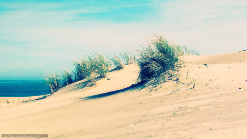Sand dunes with beach grass