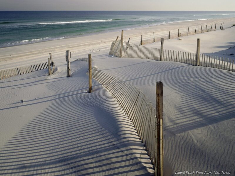 Sand Dunes with Fencing