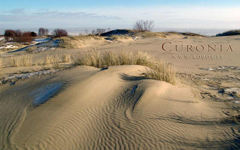 Sand Dunes with Grass — Beige, Serene, Winter