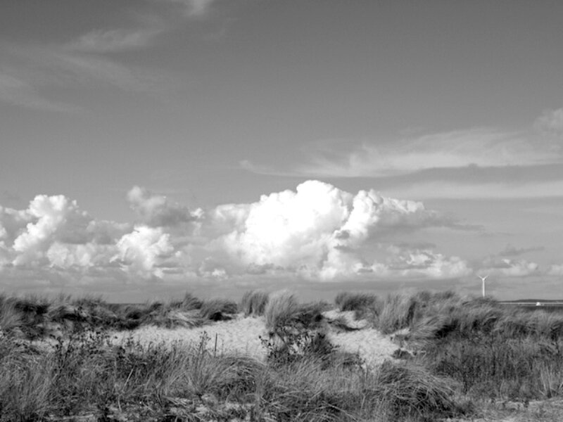 Sand Dunes with Grass — Black