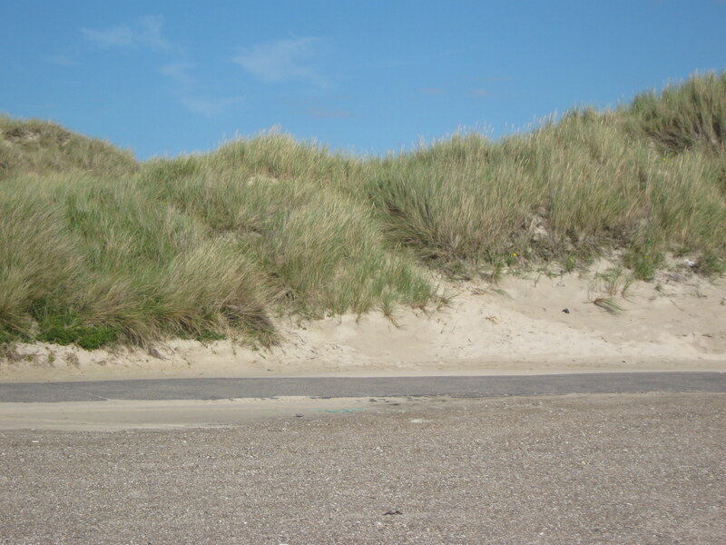 Sand Dunes with Grass — Blue, Calm