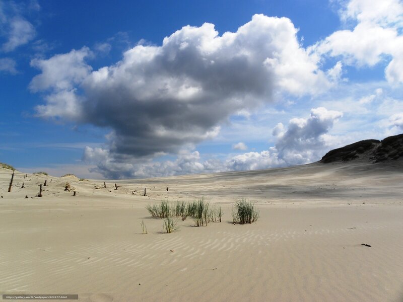 Sand Dunes with Grass — Blue, Serene, Afternoon, Photograph, Clouds