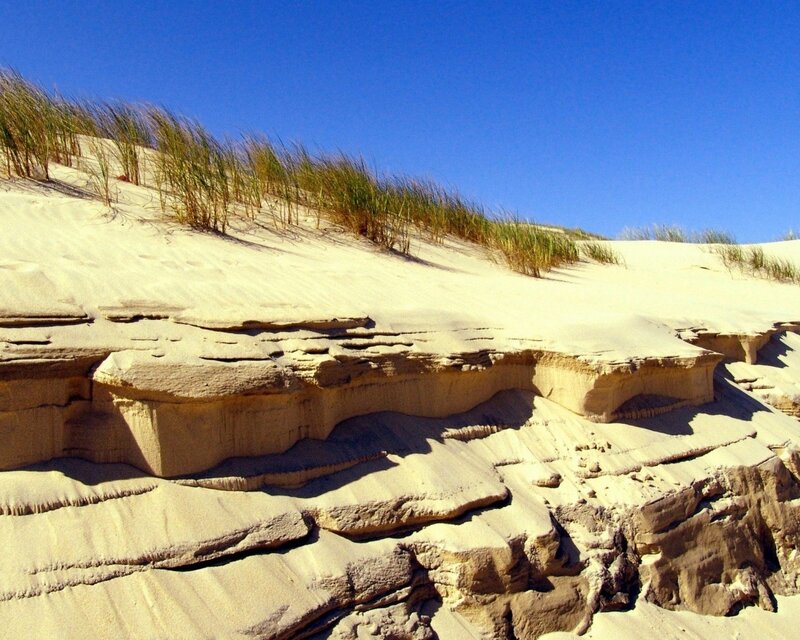 Sand Dunes with Grass — Blue, Serene, Afternoon, Photograph, Sky, Dune, Beige