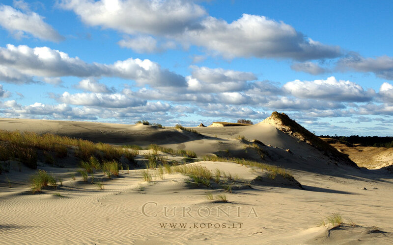 Sand Dunes with Grass — Blue, Serene, Afternoon