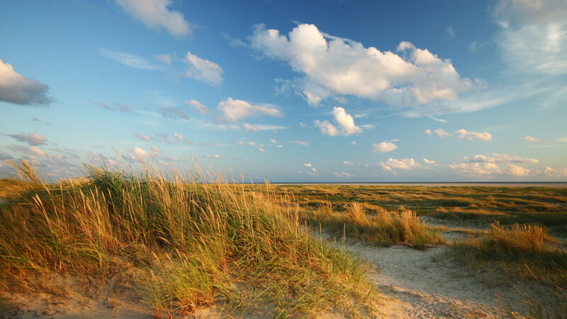 Sand Dunes with Grass — Blue, Serene, Sunset, Photograph
