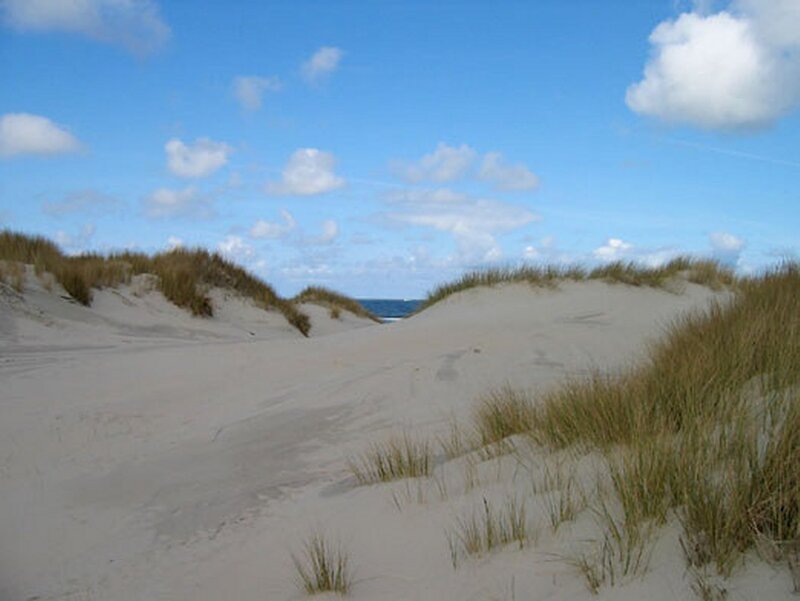Sand Dunes with Grass — Blue, Serene