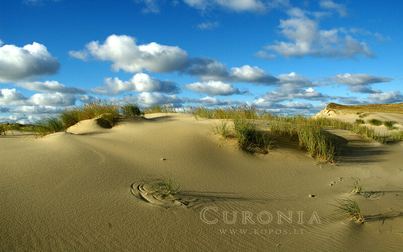 Sand Dunes with Grass — Blue