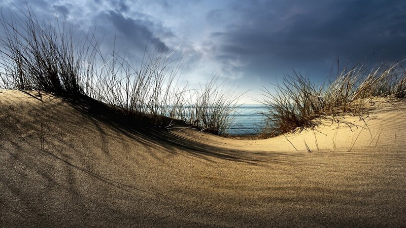 Sand Dunes with Grass — Brown, Dramatic, Afternoon