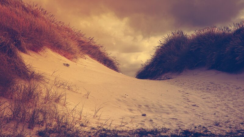 Sand Dunes with Grass — Brown, Dramatic, Sunset