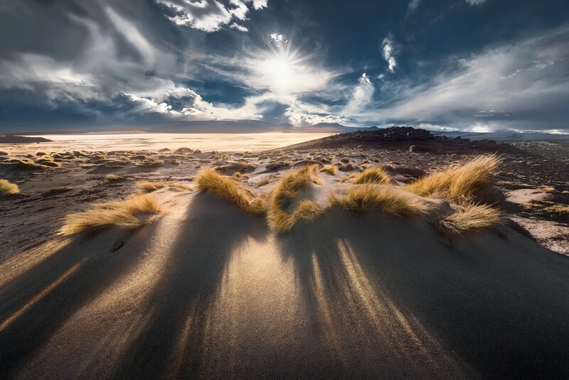 Sand Dunes with Grass — Brown, Dramatic
