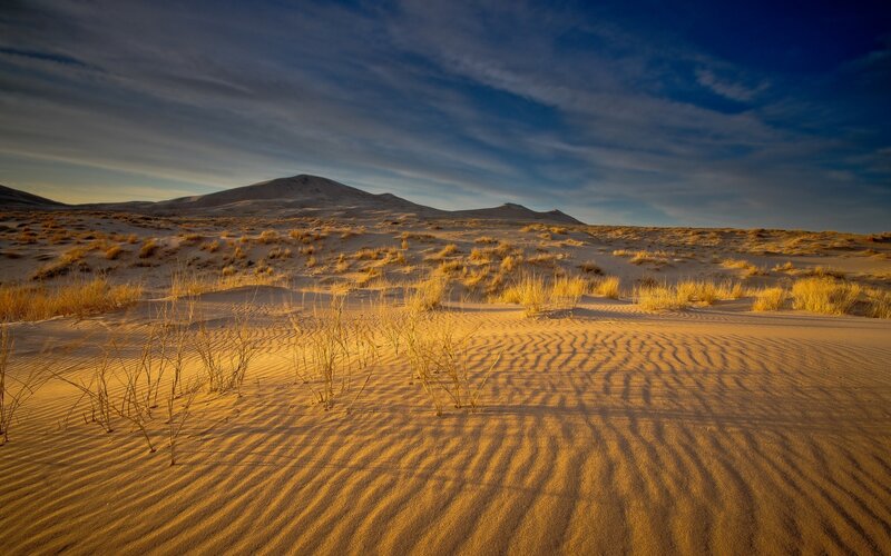Sand Dunes with Grass — Gold