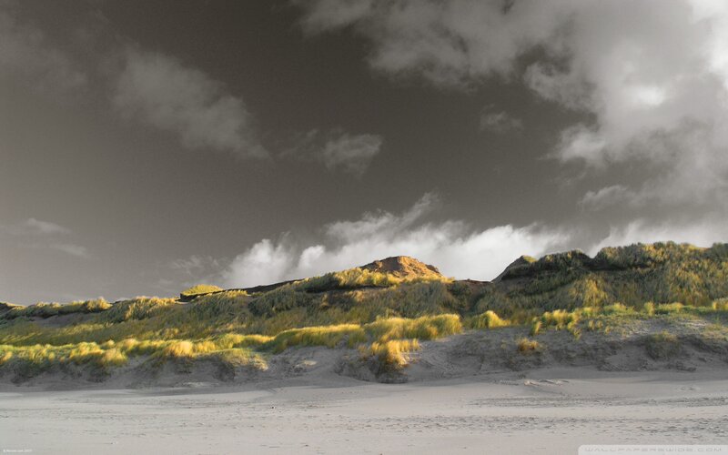 Sand Dunes with Grass — Gray