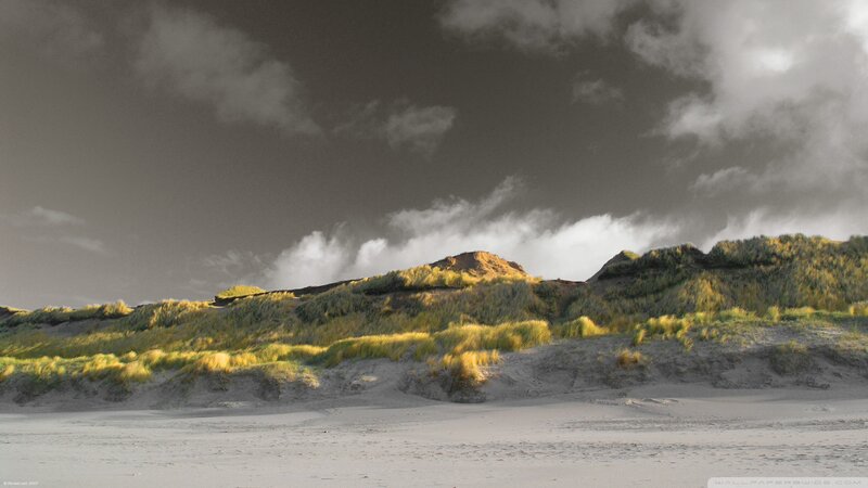 Sand Dunes with Grass — Green, Dramatic