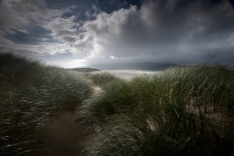 Sand Dunes with Grass — Green