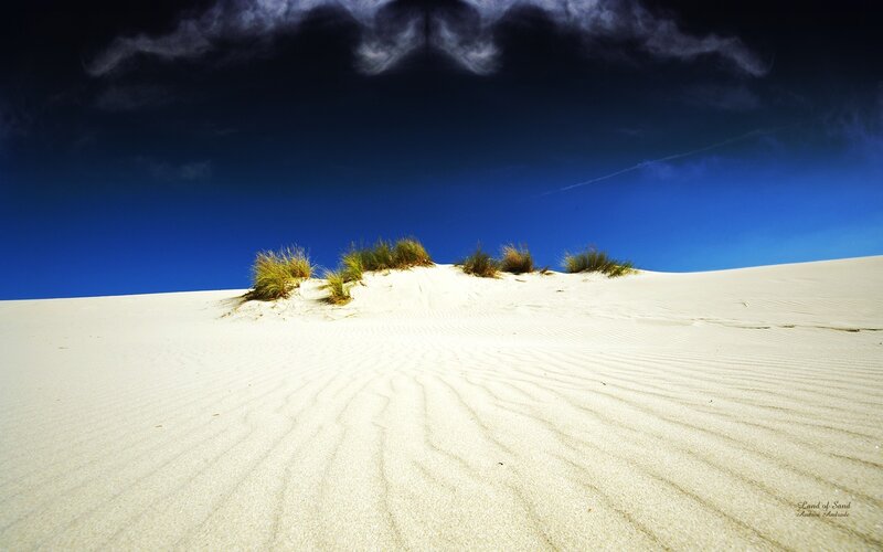 Sand Dunes with Grass — White, Dramatic, Afternoon