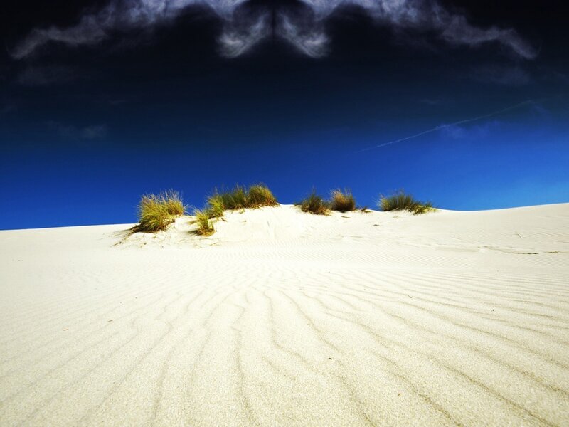 Sand Dunes with Grass — White, Dramatic