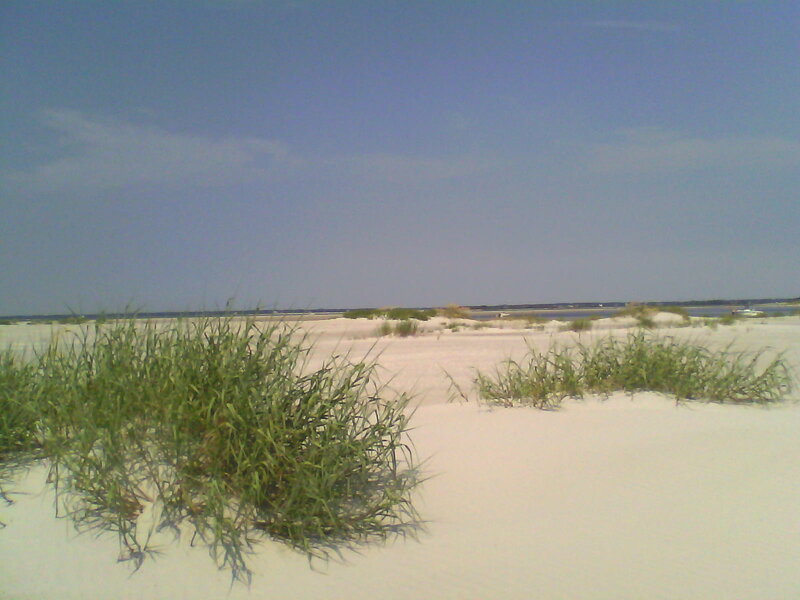 Sand Dunes with Grass — White, Serene