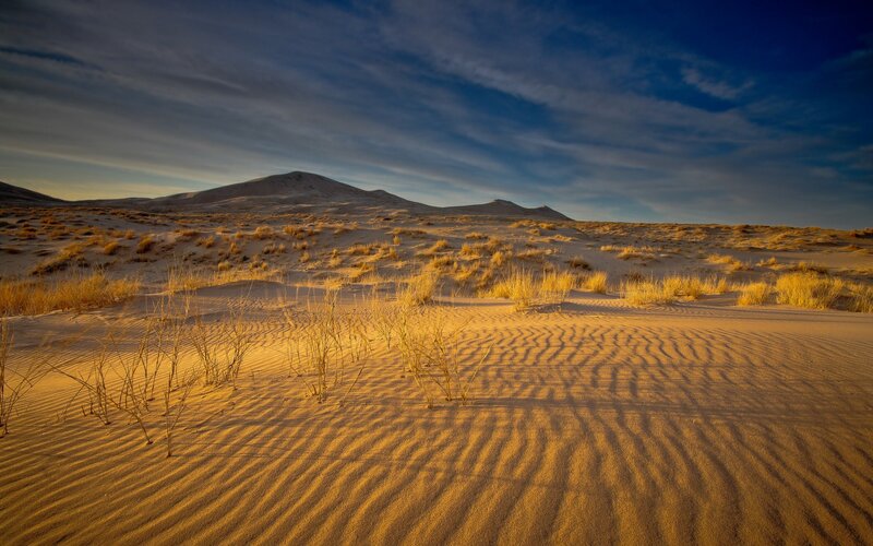 Sand Dunes with Grass — Yellow, Serene, Sunset