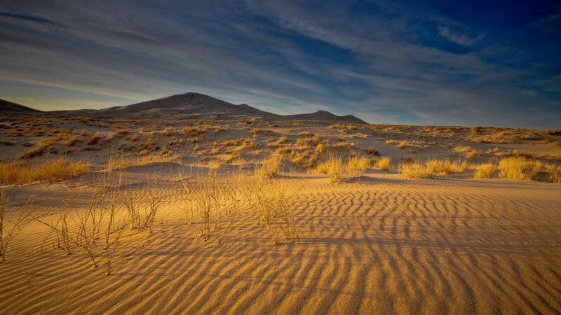 Sand Dunes with Grass — Yellow