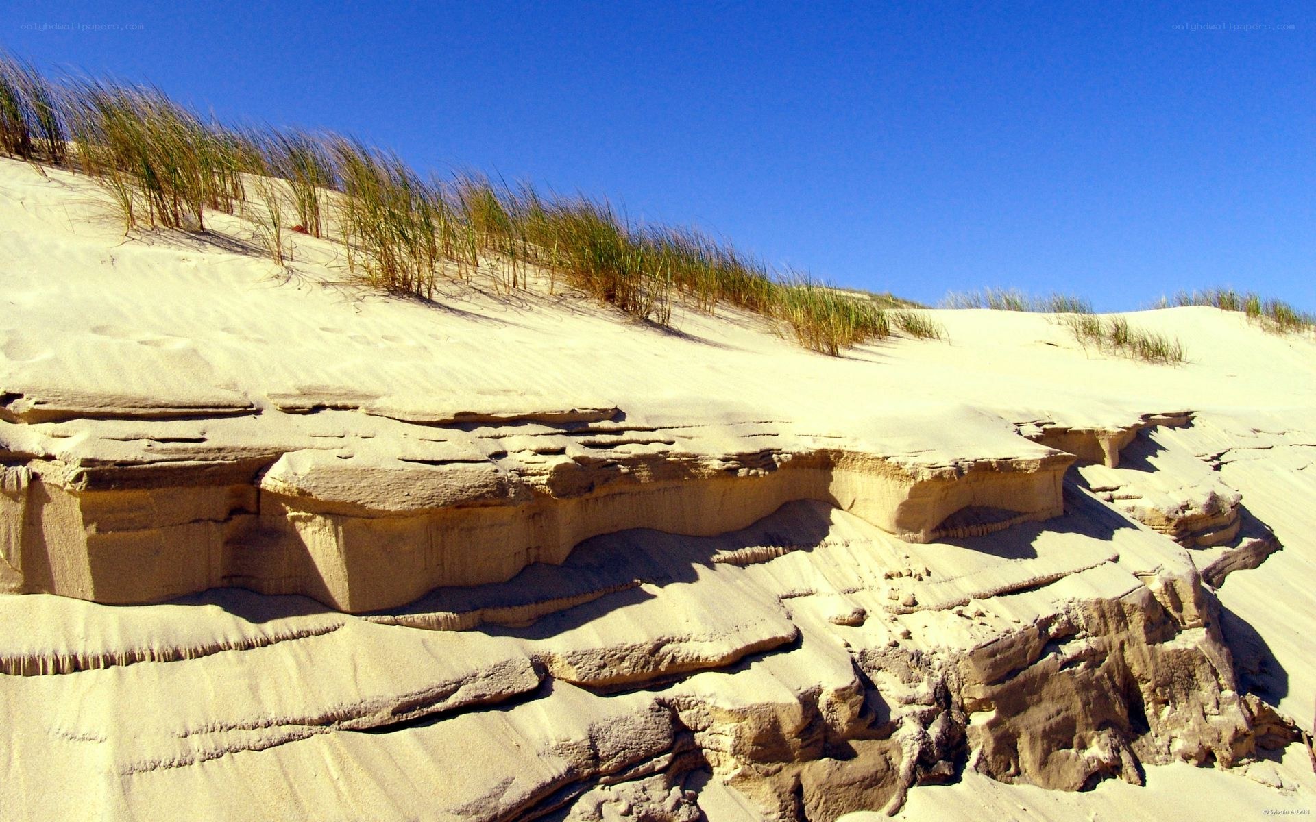 sand dunes with layered rock