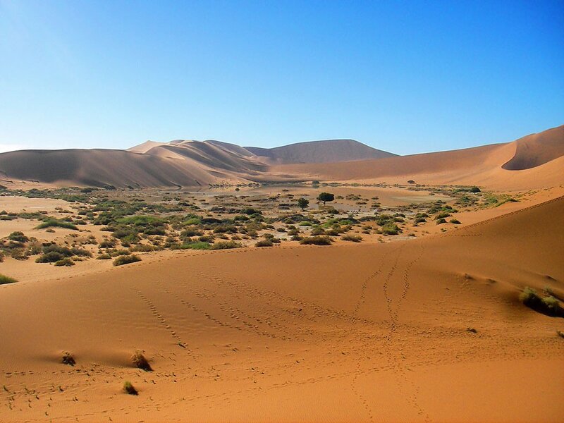 Sand Dunes with Oasis — Orange