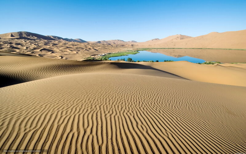 Sand Dunes with Oasis