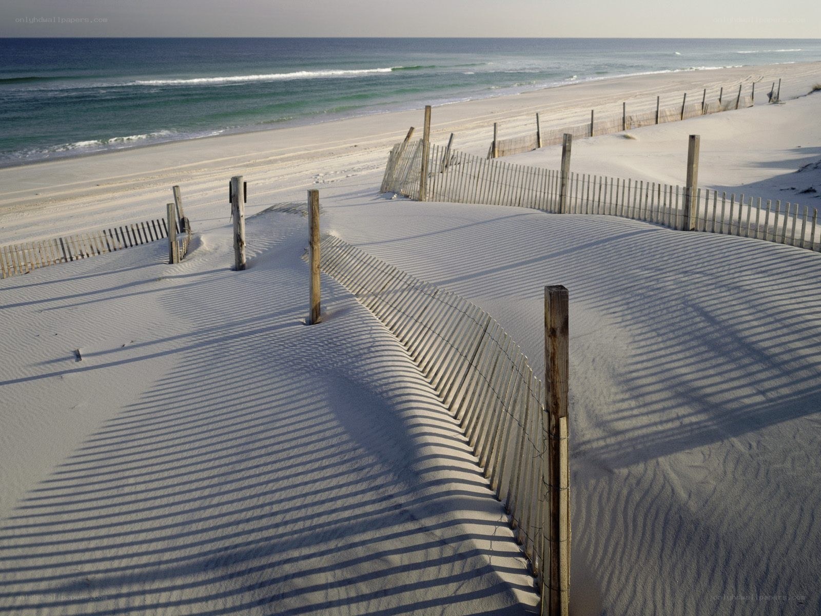 sand dunes with ocean view