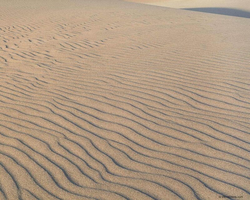 Sand dunes with ripple patterns