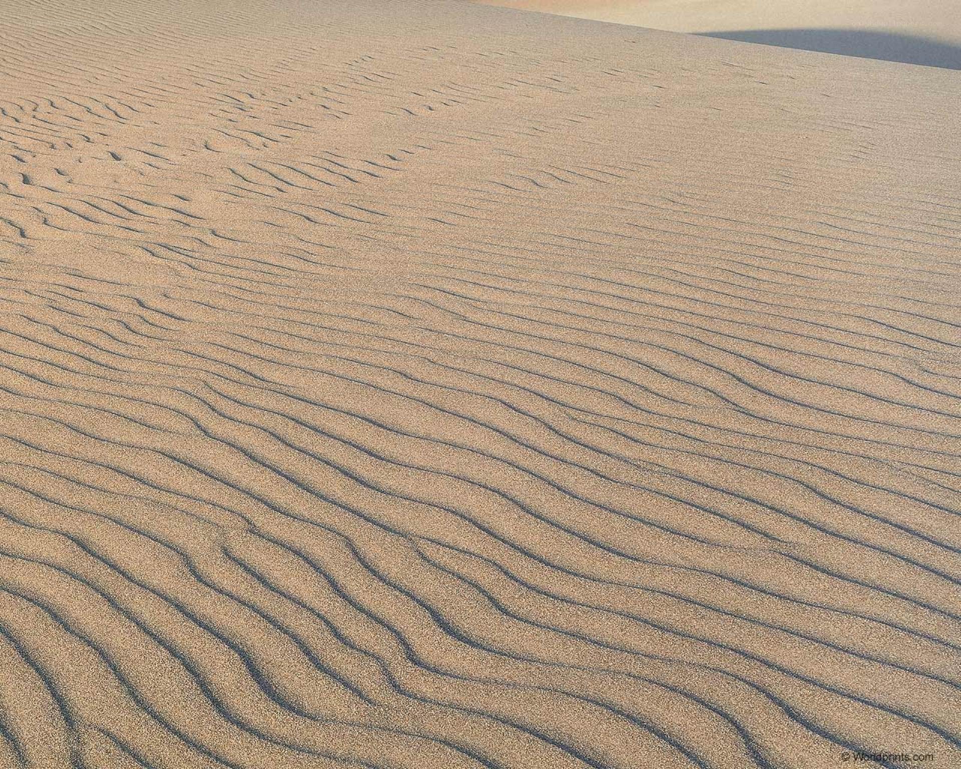 Sand dunes with ripple patterns