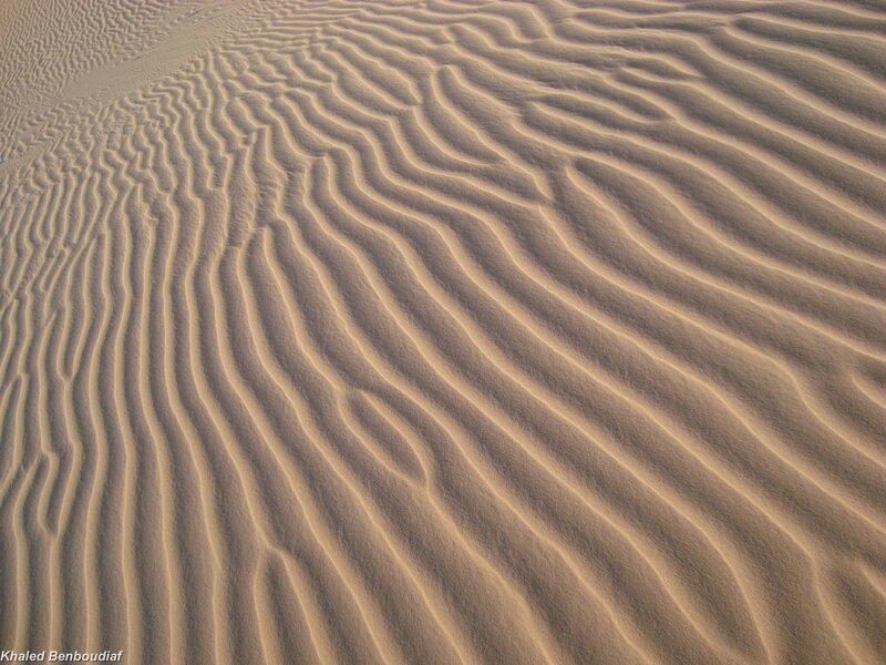Sand dunes with ripple patterns