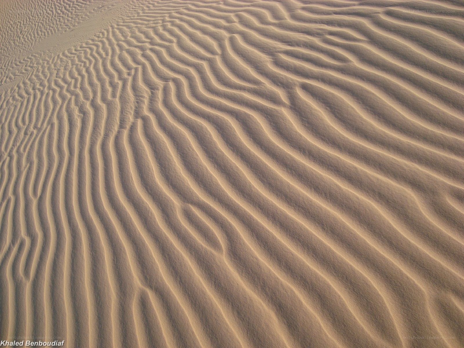 Sand dunes with ripple patterns