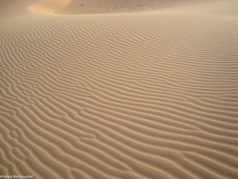Sand dunes with ripple patterns