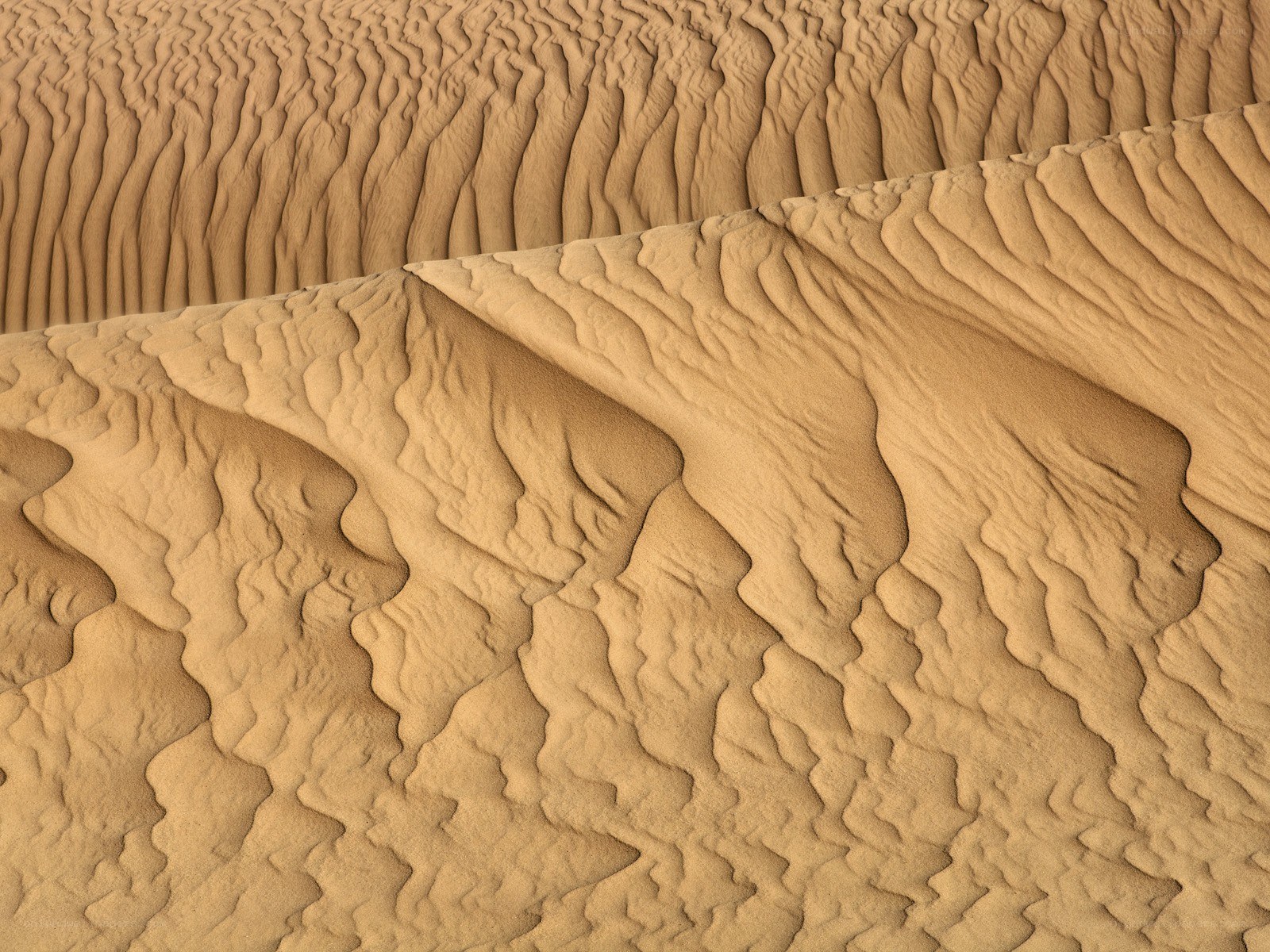 Sand dunes with ripple patterns