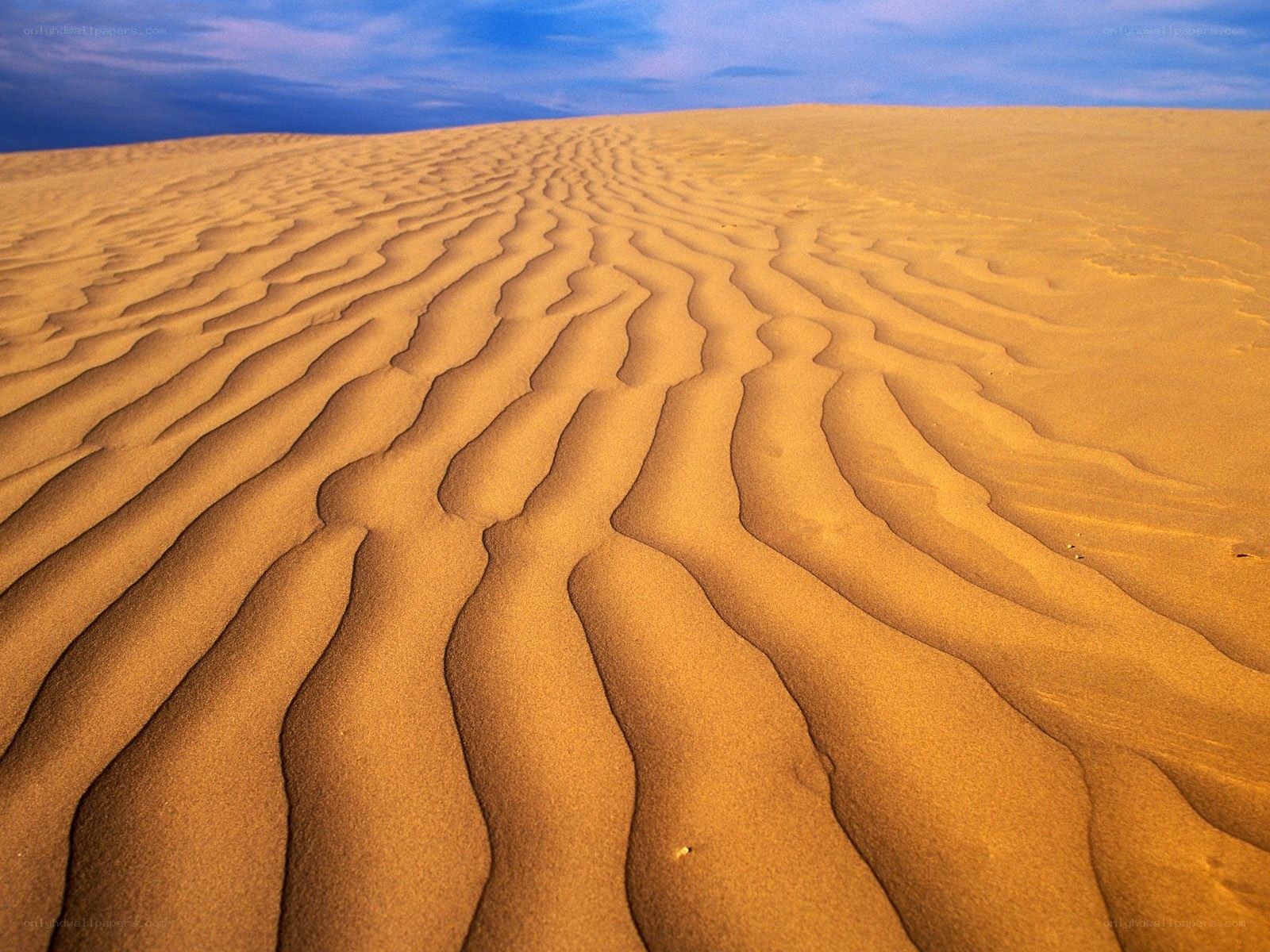 Sand dunes with rippled patterns