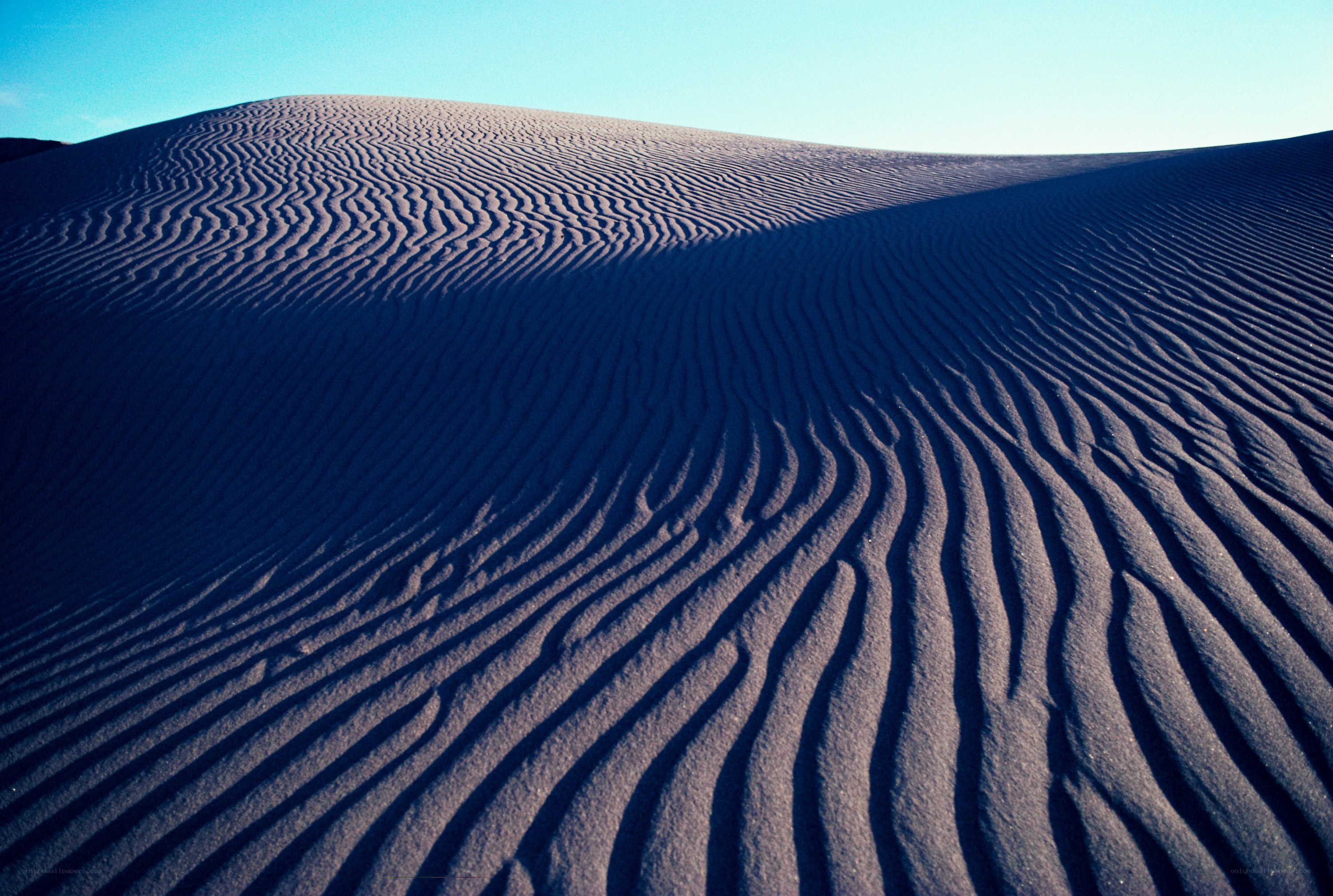 Sand dunes with rippled patterns