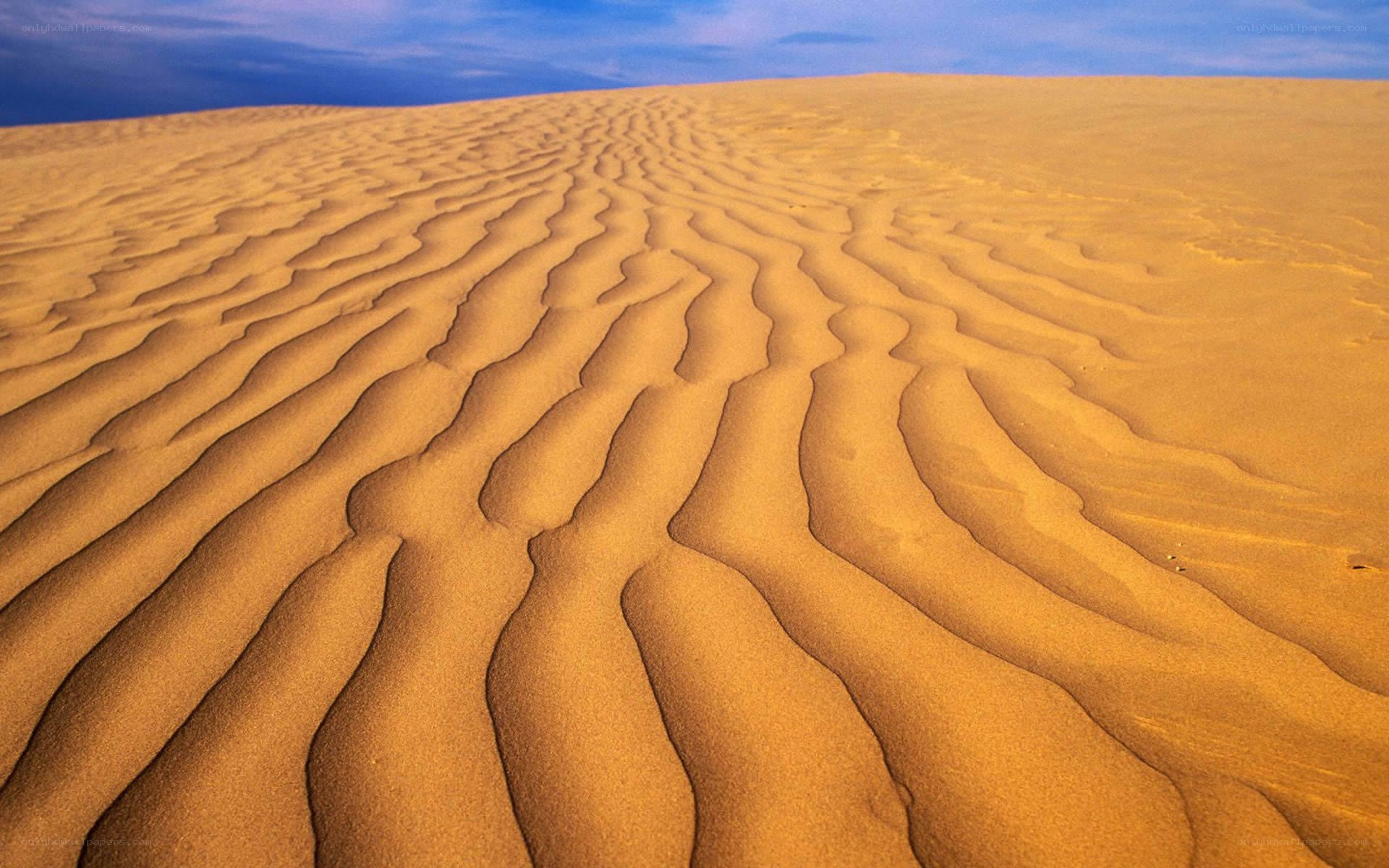Sand dunes with rippled patterns