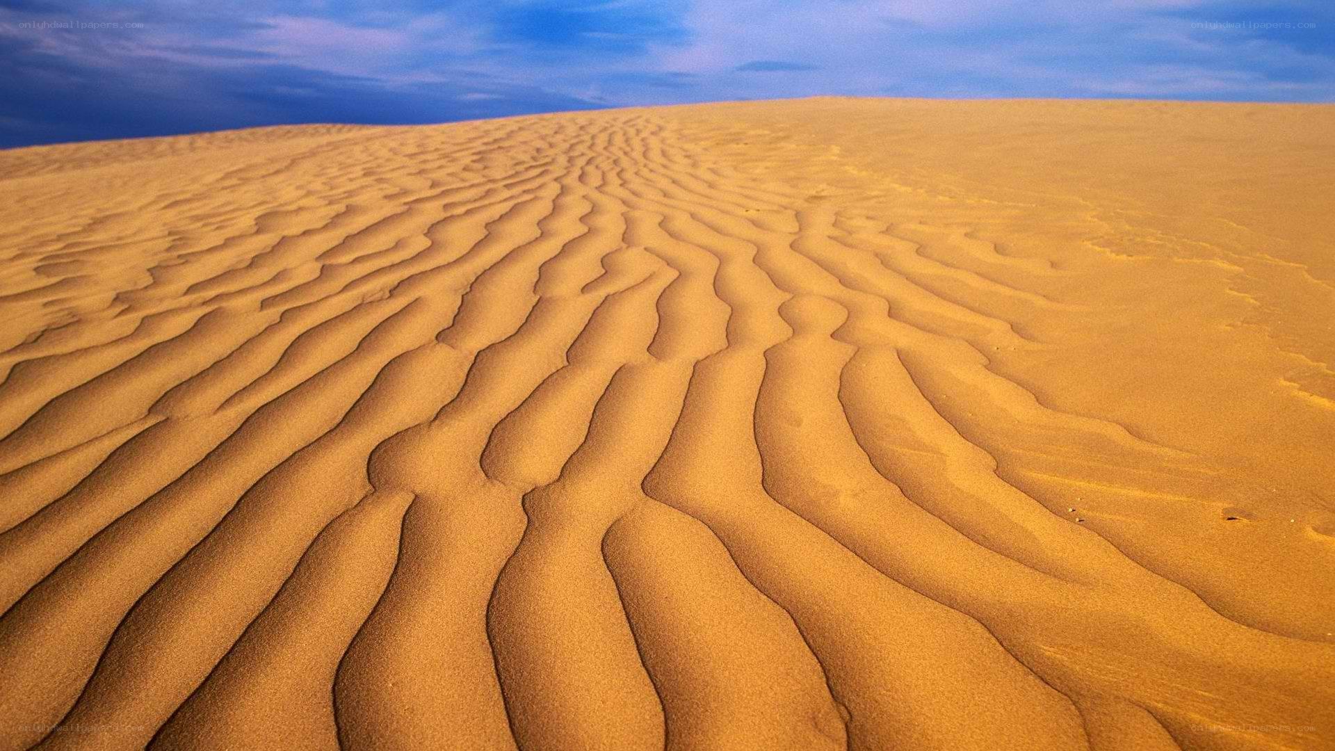 Sand dunes with rippled patterns