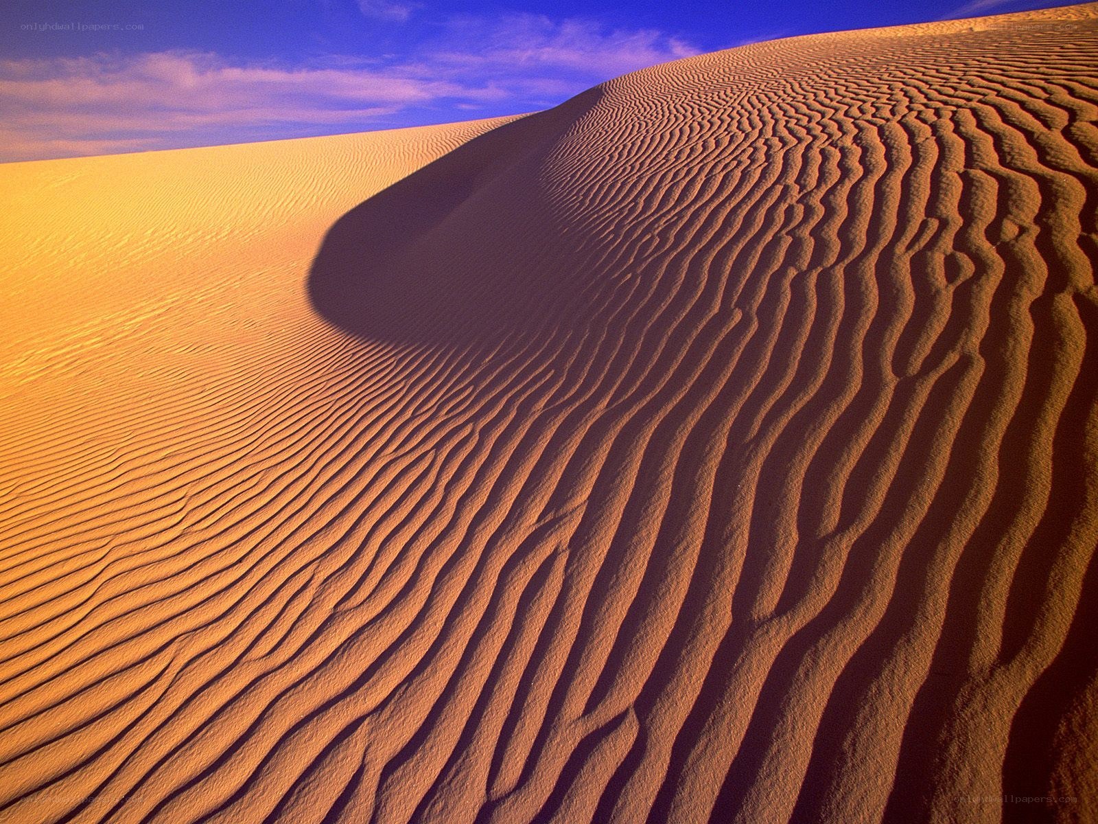 Sand dunes with rippled patterns