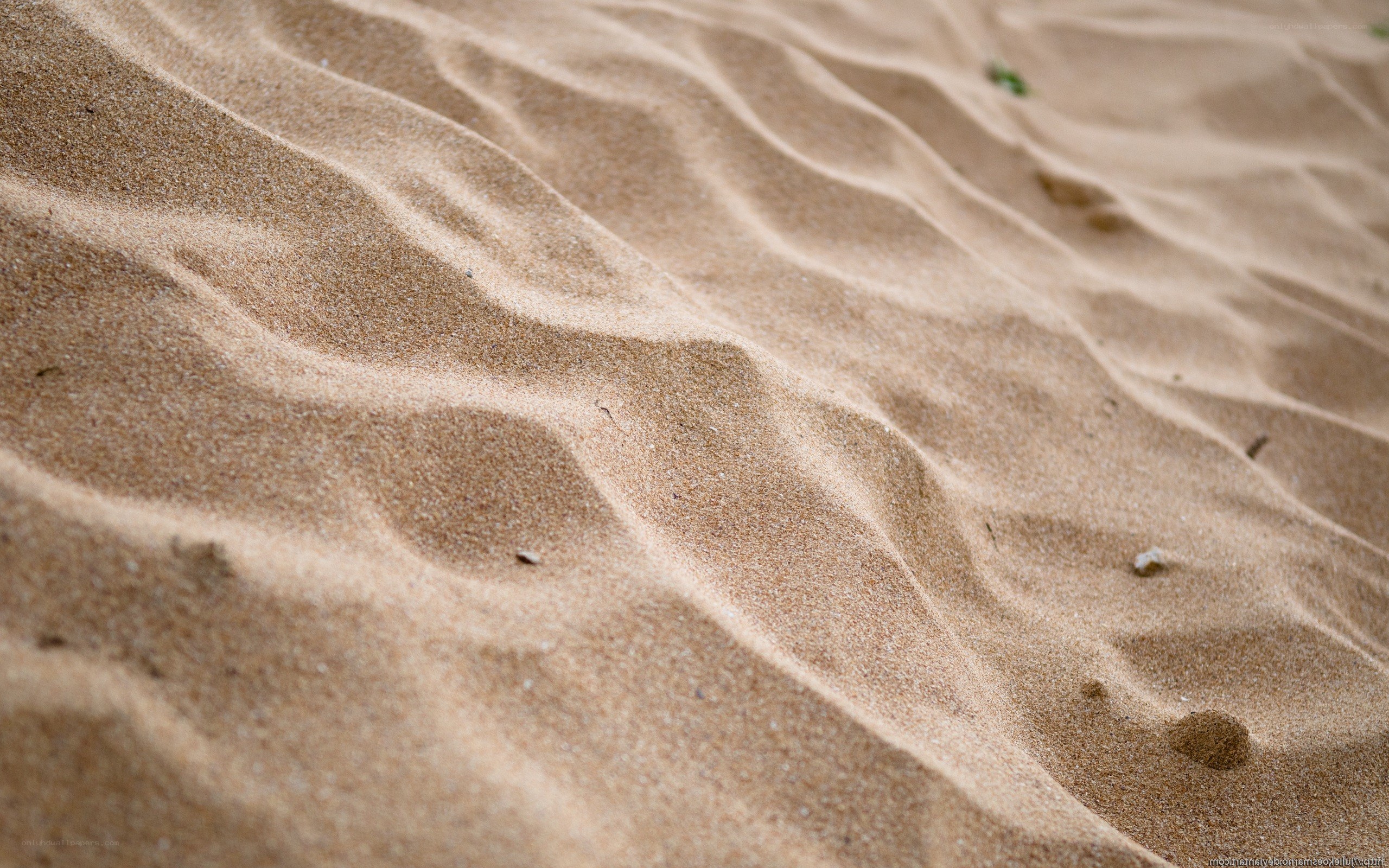sand dunes with ripples