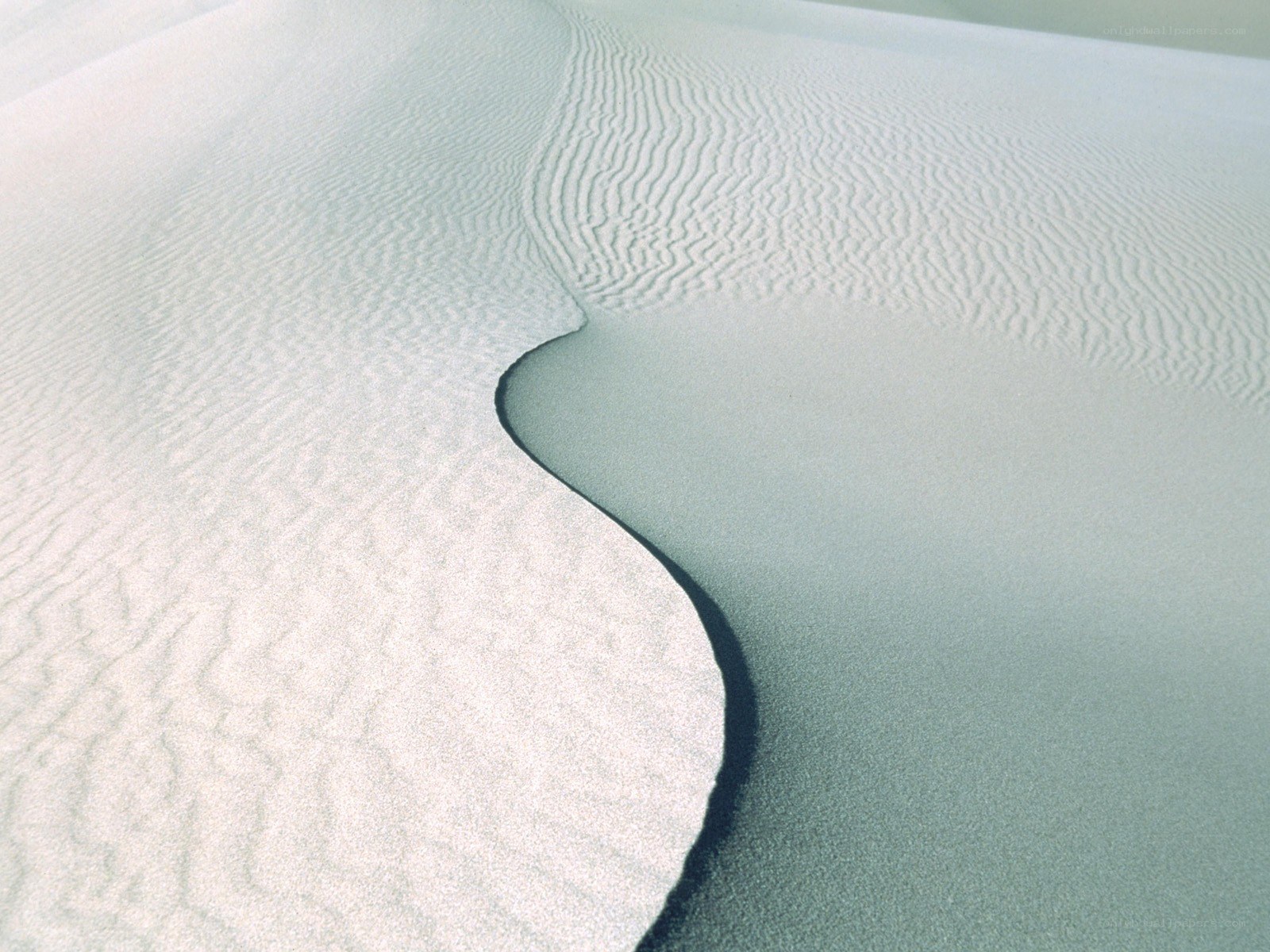 Sand dunes with ripples