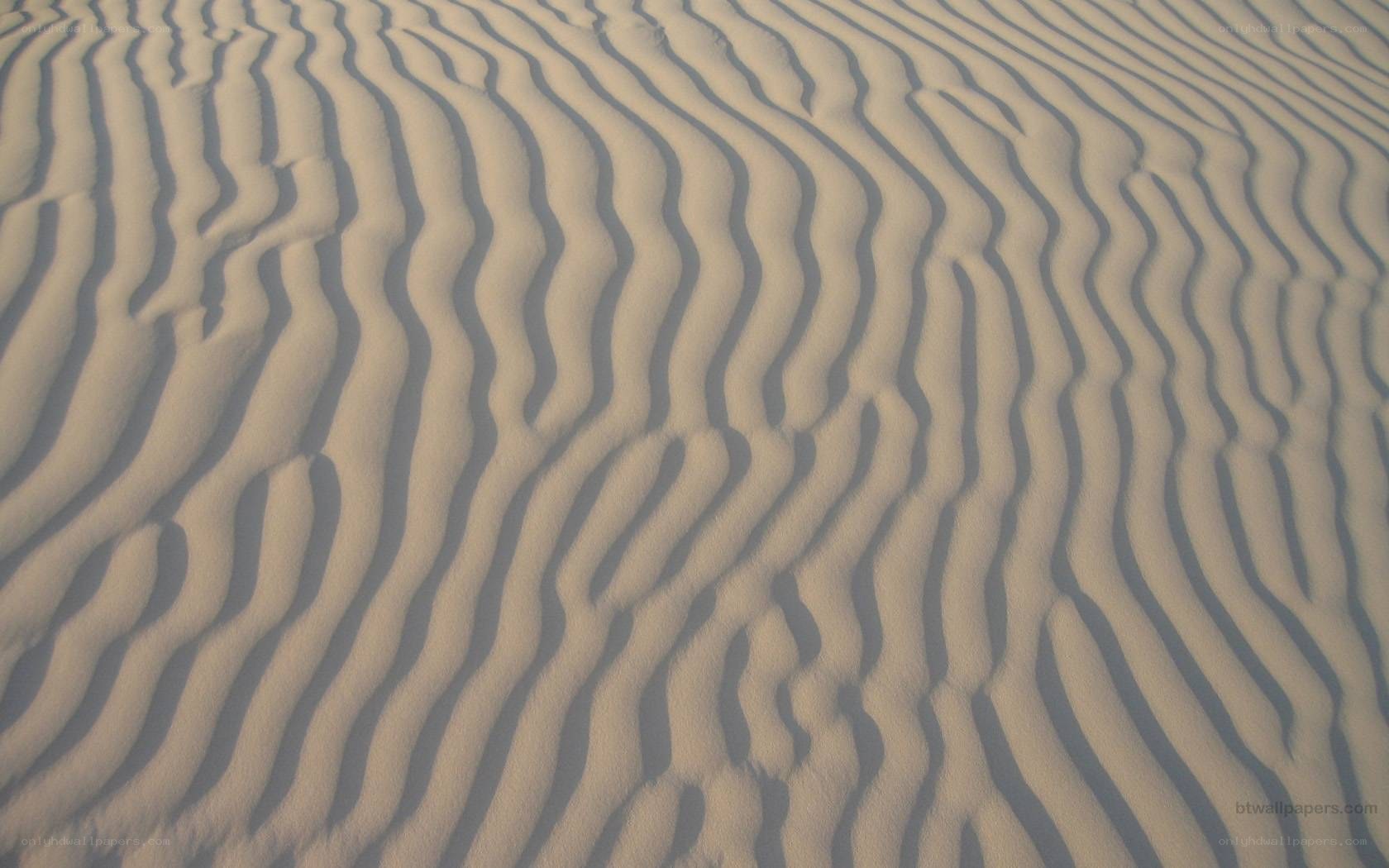 sand dunes with ripples