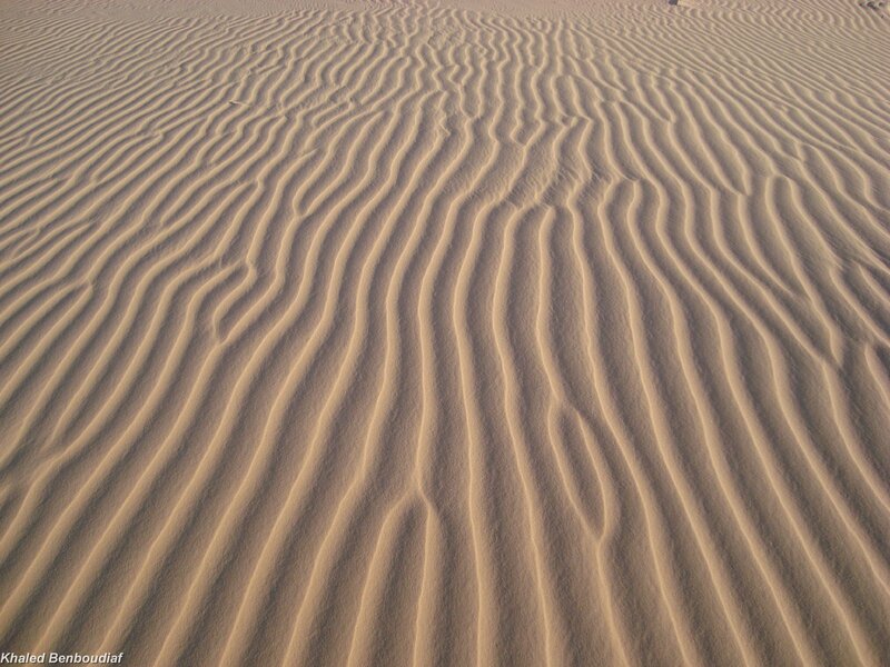sand dunes with ripples