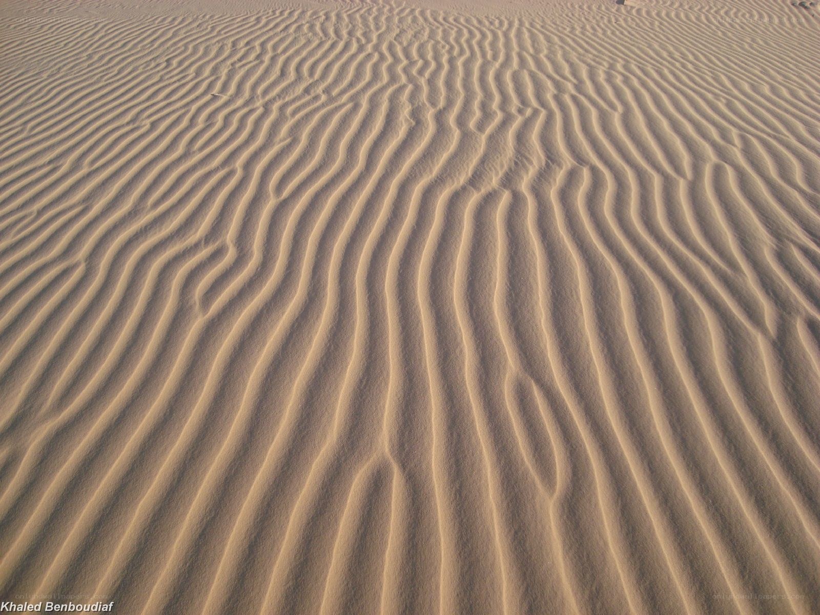sand dunes with ripples