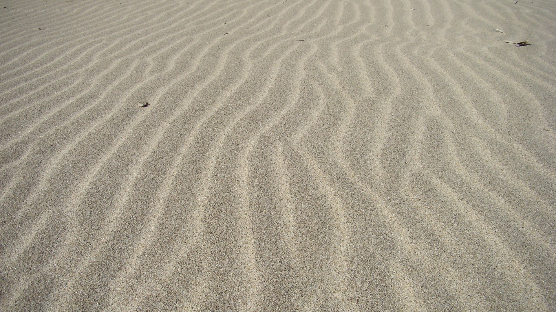 sand dunes with ripples