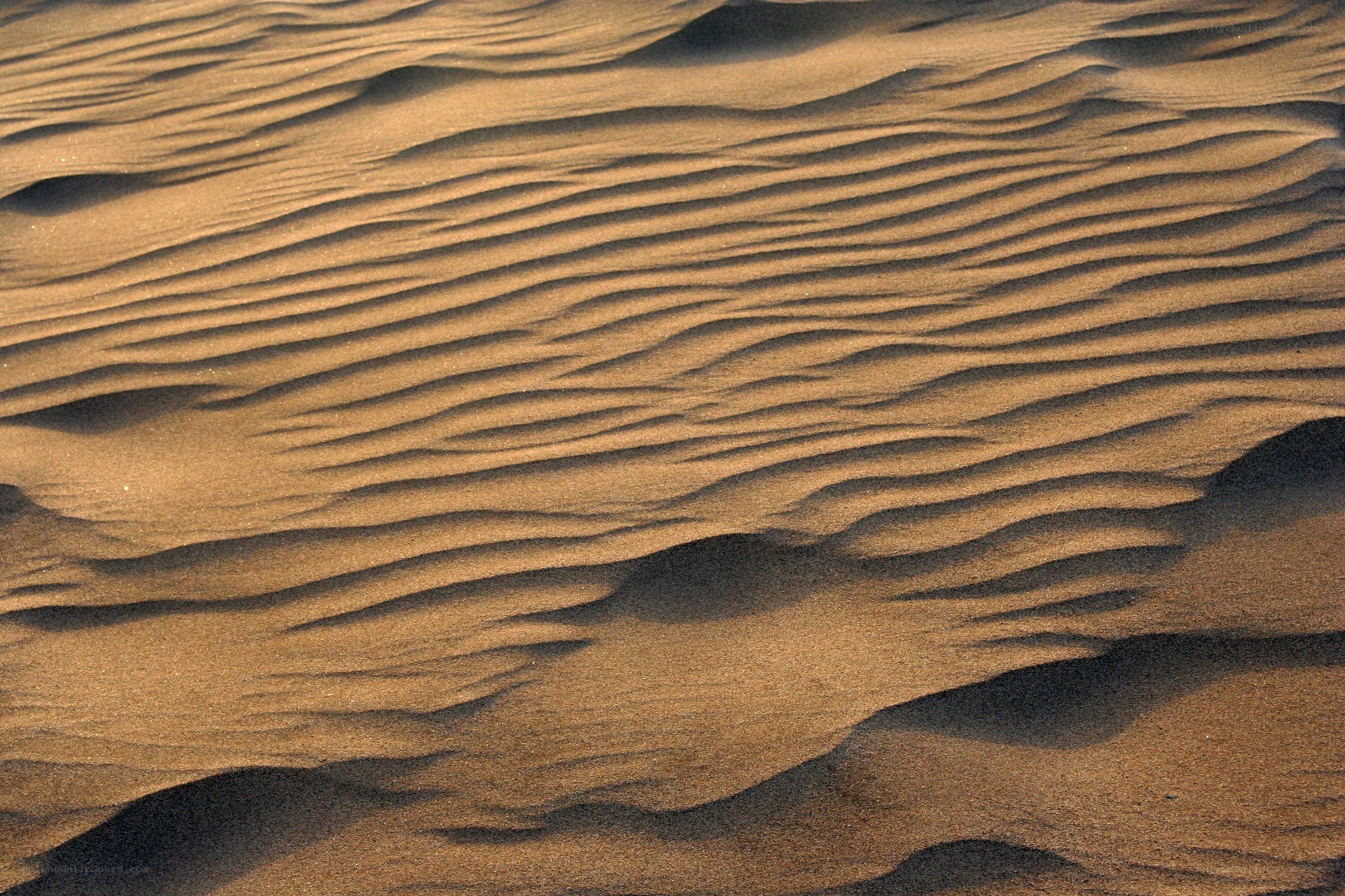 sand dunes with ripples