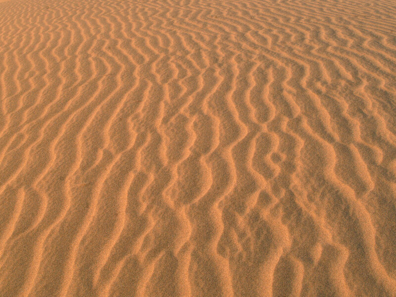 Sand dunes with ripples