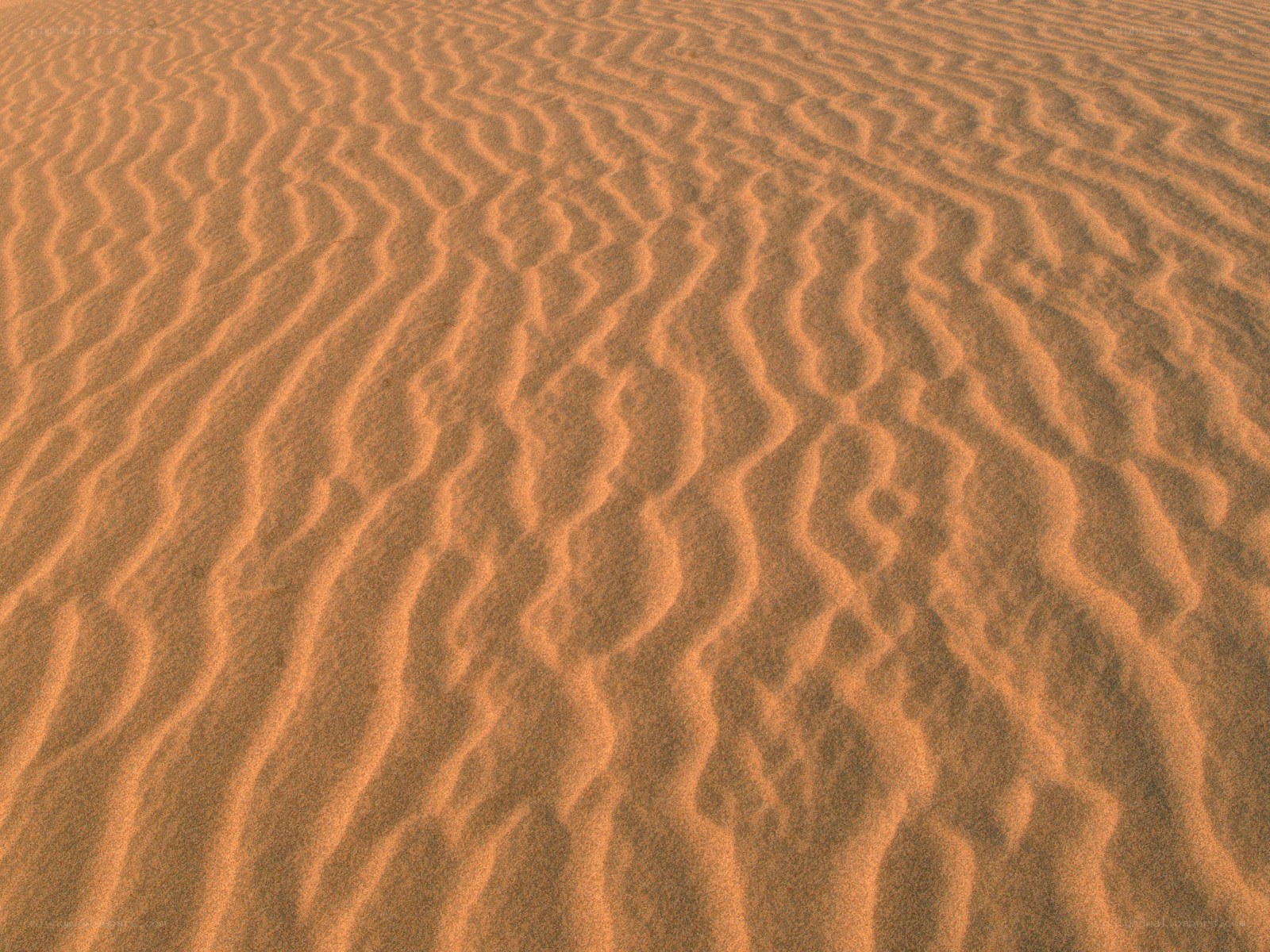 Sand dunes with ripples