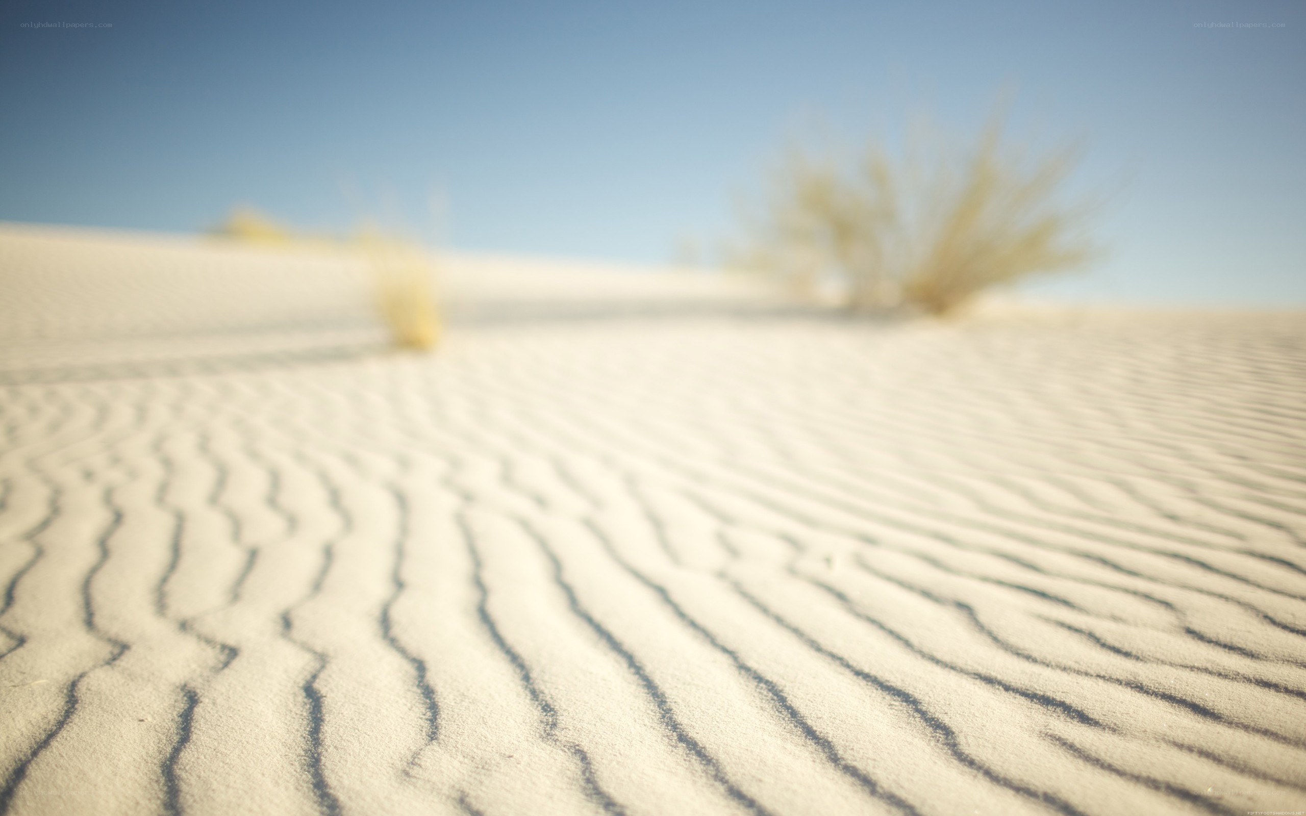 sand dunes with ripples